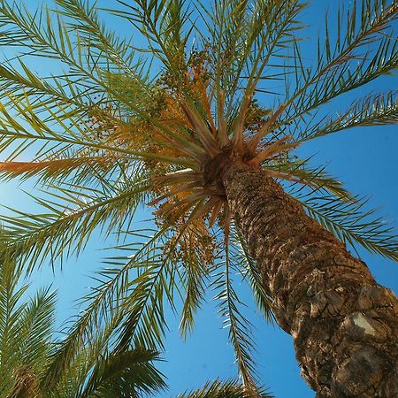 Kallitsakis Beach Platanés Екстериор снимка