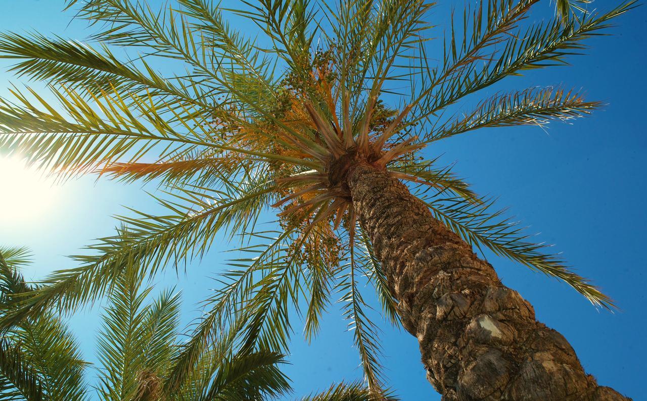 Kallitsakis Beach Platanés Екстериор снимка